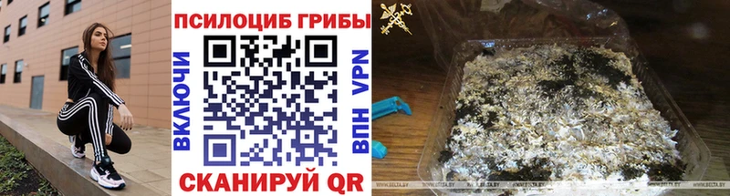 KRAKEN ссылки Мензелинск Галлюциногенные грибы ЛСД